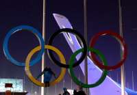 Директор спорткомплекса \