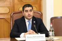 Спикер грузинского парламента вновь обвинил немецкого посла в нарушении регламента