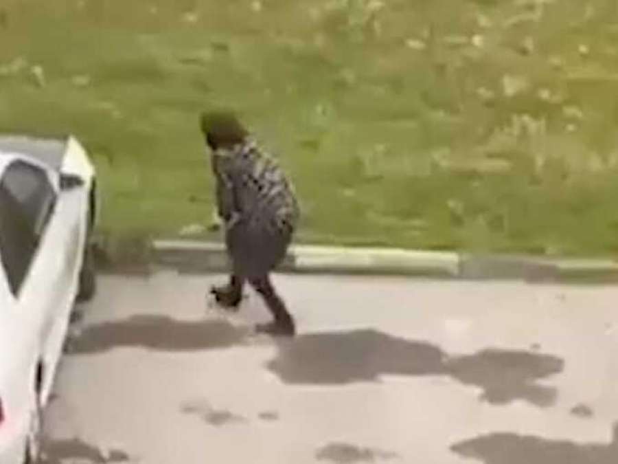 Побитые Бомжи