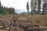 Росприроднадзор планирует проведение внеплановых проверок после обнаружения значительного загрязнения почв в ХМАО