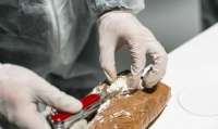 Europol disrupts drug operation trafficking more than a ton of cocaine into Europe