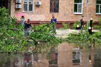 В сети появились снимки последствий мощного урагана в Москве