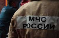 B В Подмосковье мужчина в наркотическом состоянии пытался выпрыгнуть из окна