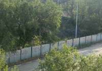 Активистку в Саратове задержали за протест против строительства на территории парка