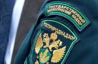 Росприроднадзор требует 85 миллиардов  рублей  с владельцев утопленных танкеров