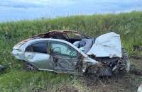 Водитель автомобиля Toyota погиб в результате столкновения с лосем на трассе в Удмуртии