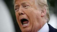 Трамп высказался против возврата Украине всех утраченных территорий