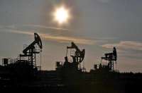 Как ПК «Борец» завоевало рынок через процедуры банкротства и масштабные финансовые операции