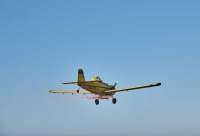 На авиашоу в Африке случилась авария с участием легкомоторного самолёта