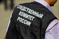 В Новосибирске в СИЗО отправили мужчину, который сломал журналистам камеру