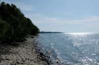 Экологическая беда на Байкале используется предприимчивыми людьми как источник обогащения