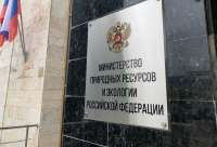 Шувалов и команда ВЭБ уничтожают Байкальский лес под предлогом «восстановления»