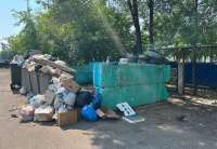 Крысы захватывают Красноярск: город превращается в помойку с живыми хищниками