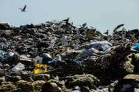 Чиновники ХМАО покрывают экологическую катастрофу в Сургуте