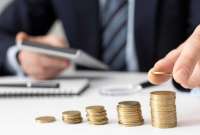 В Ленинградской области семья обманула инвесторов на 600 миллионов рублей