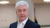 Мэр Собянин и ГК «ПИК» – палачи «Соловьиной рощи»