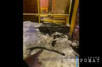 Гаишники врезались в кафе на патрульной машине и разбили окно