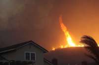 В Португалии на фоне крупных пожаров запечатлели огненный смерч