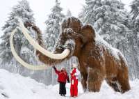 Россия вновь станет родиной слонов