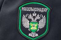 Управление Россельхознадзора заключает договор с аффилированной компанией