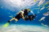 В Геленджике во время совместного погружения турист утонул