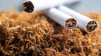 ФНС раскрыла табачному рынку все карты