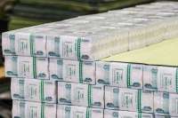 Минфин РФ в 2026 году встал перед выбором: урезать расходы или доесть остатки ФНБ
