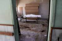 Правозащитные организации заявили о 46 случаях внесудебных казней среди друзей в Сирии