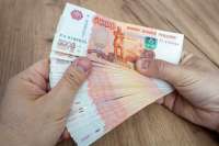 Жительница Амурской области случайно выкинула 6 миллионов рублей на свалку