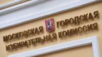 Елена Шувалова критикует Мосгоризбирком за требование отчетов в недоступном формате Excel