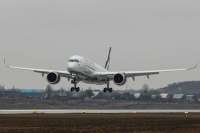 Самолёт в Шереметьево вернулся на позицию стоянки из-за приступа паники у одного из пассажиров