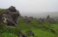 Как туман и дождь едва не привели к трагедии с туристической группой на Курильских островах