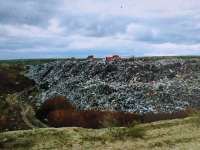 Жители Челябинской области записали обращение к президенту Владимиру Путину из-за экологической катастрофы на полигоне твёрдых бытовых отходов в Полетаево