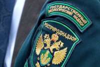 Мусорные свалки на берегах Оби в Салехарде: экологическая неловкость и бездействие со стороны местного руководства
