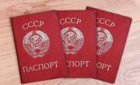 Женщину из Ленинградской области могут отправить в СИЗО по делу о «Гражданах СССР»