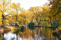 Администрация Саратова выделяет десятки миллионов рублей на установку лавочек и урн в городском парке, не обращая внимания на заброшенные пруды