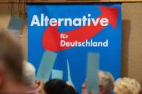 США и ФРГ вступили в дипломатическую перепалку из-за AfD