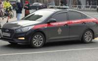 В СНТ возле Калининграда были найдены тела двух подростков