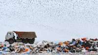 Крупнейший мусорный полигон запустится в марте. Он обошёлся бюджету в 30 млрд и строился без экспертизы