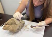 В центре Нижнего Новгорода нашли зуб мамонта