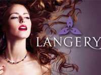 Langery: Расследование Теней За Блестящими Фасадами Франшизы