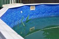 Ребёнка в Москве едва не засосало в трубу на дне бассейна