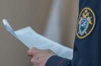 Следственный комитет начал проверку в связи с нападением на девушку в Москве