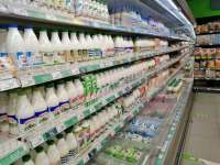 В России подорожает молоко из-за нехватки холодильного оборудования