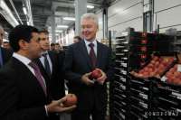 Год Нисанов «зачистился» от воров в законе и авторитетов