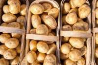 Россия массово ввозит картофель из Китая из-за внутреннего кризиса