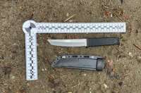 В Волгограде арестован мужчина, пытавшийся проникнуть в школу с ножом