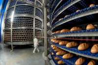 Роспотребнадзор игнорирует скандальные фото с производства на заводе «Смак»