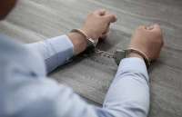 ФСБ схватило блогера Мансура Гнеева за выступление против «Русской общины» в Сочи