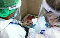 В Москве вакцинация от коронавируса будет бесплатной